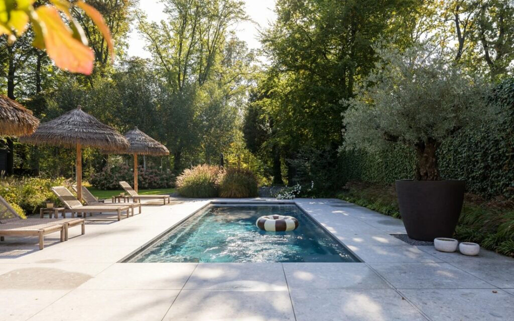 Het verwarmde zwembad in de tuin.