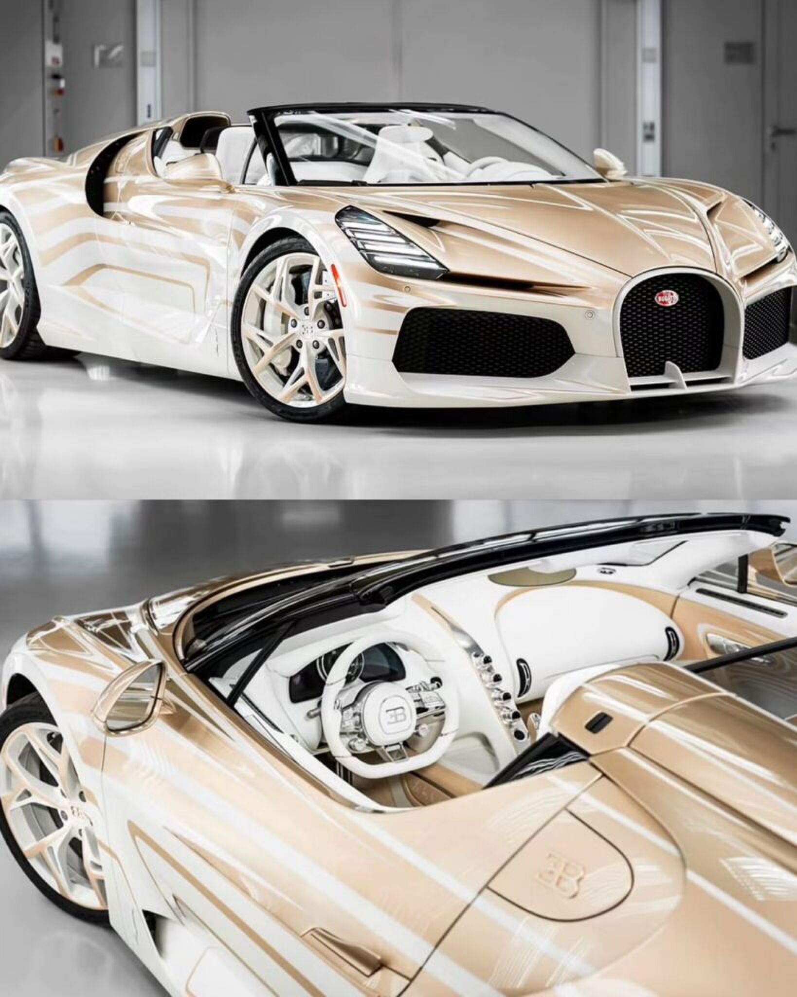 de zijkant en binnenkant van de La Perle Rare Bugatti