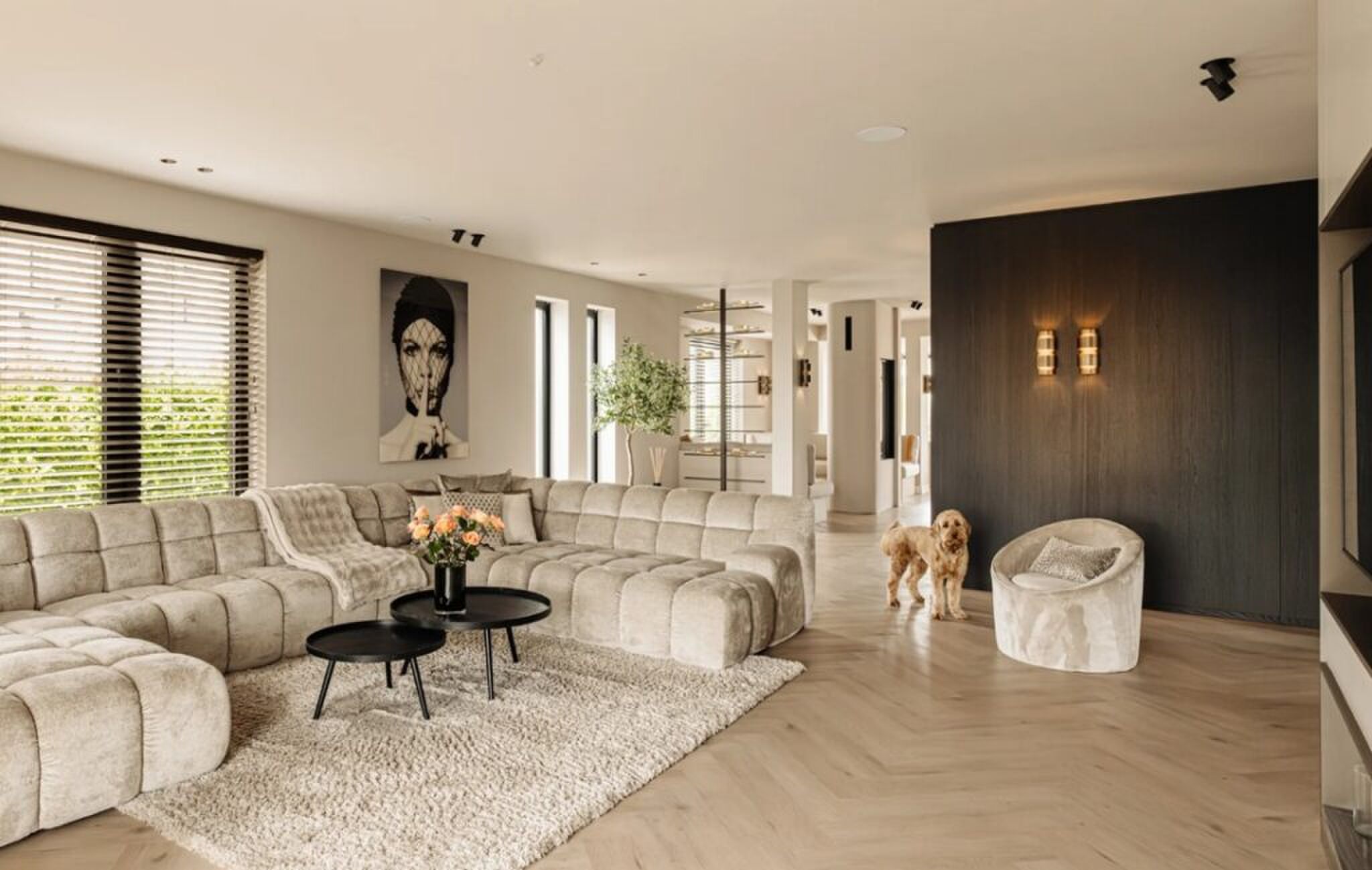 De luxueuze living van de woning.