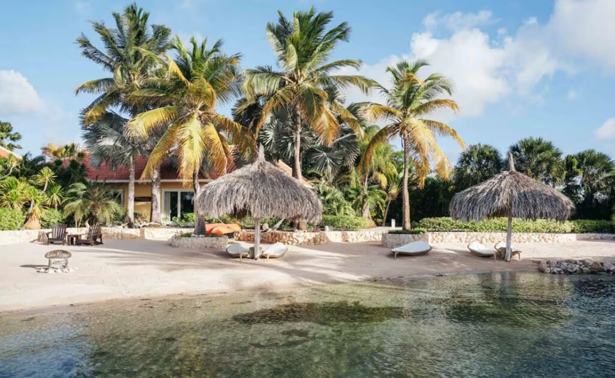 Het strand met palmbomen.