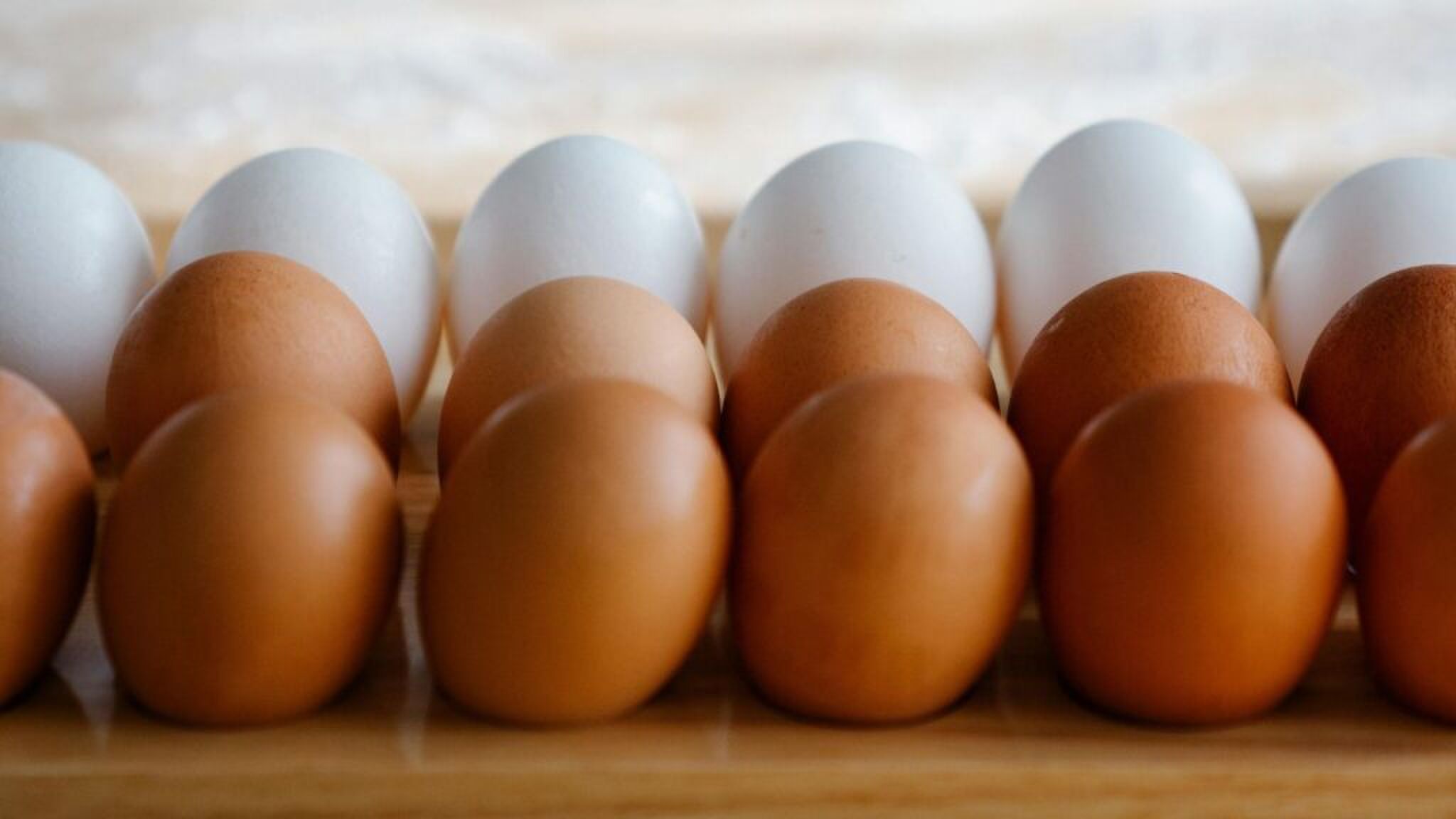Verschillende kleuren eieren