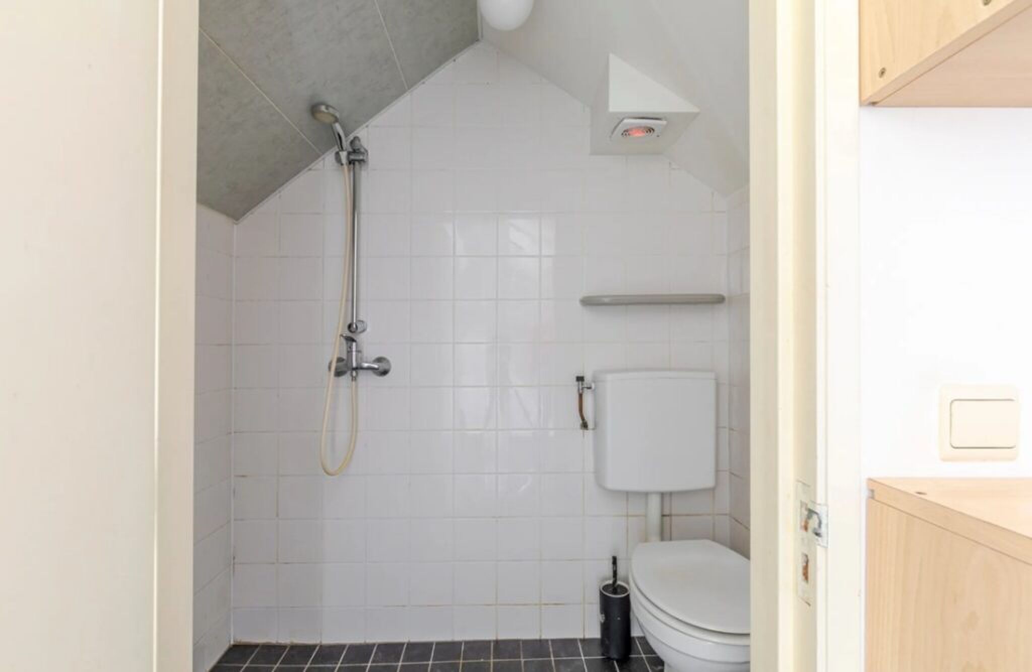 De krappe badkamer met toilet en douche.