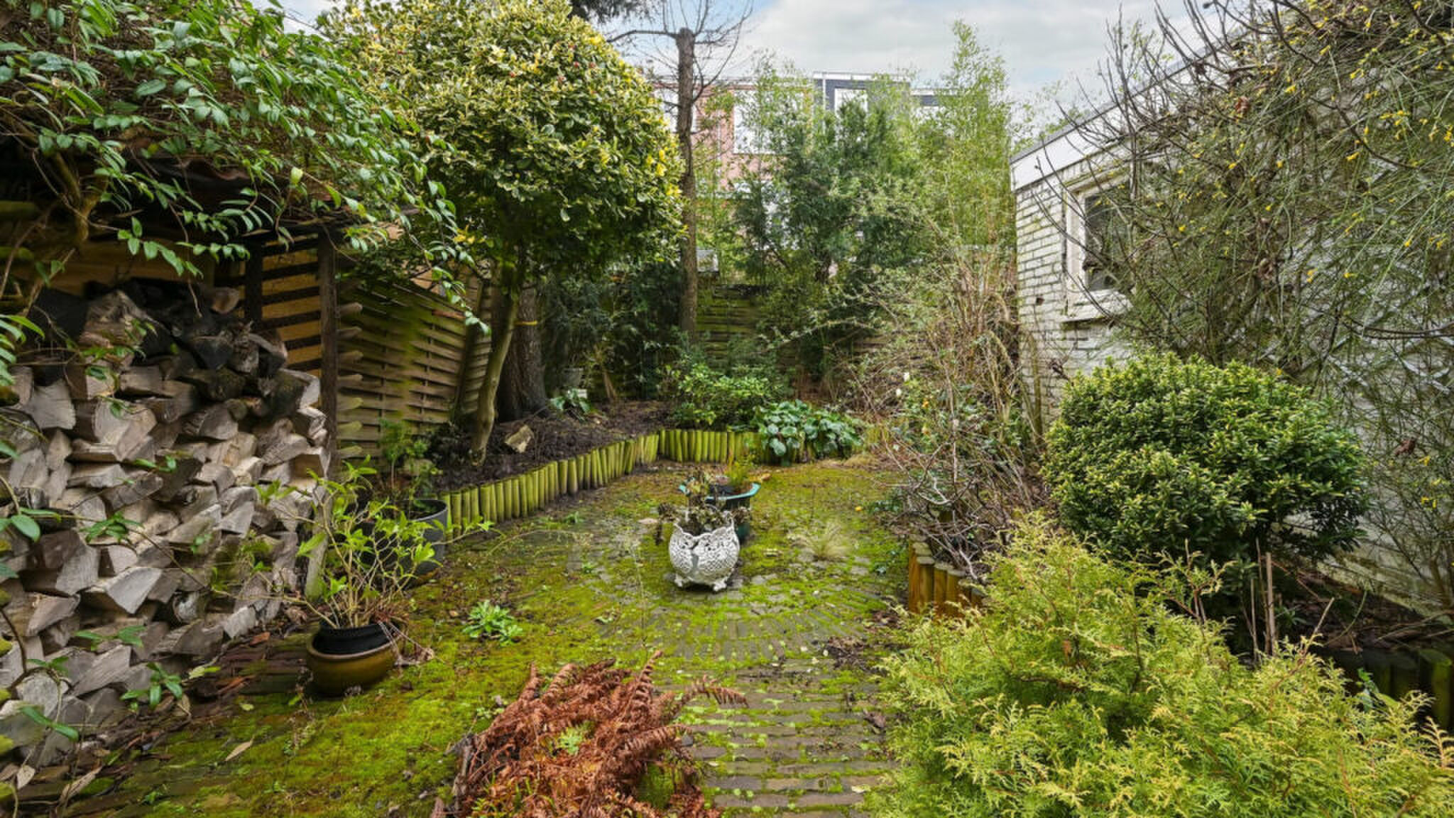 Vervallen tuin van woning Den Haag