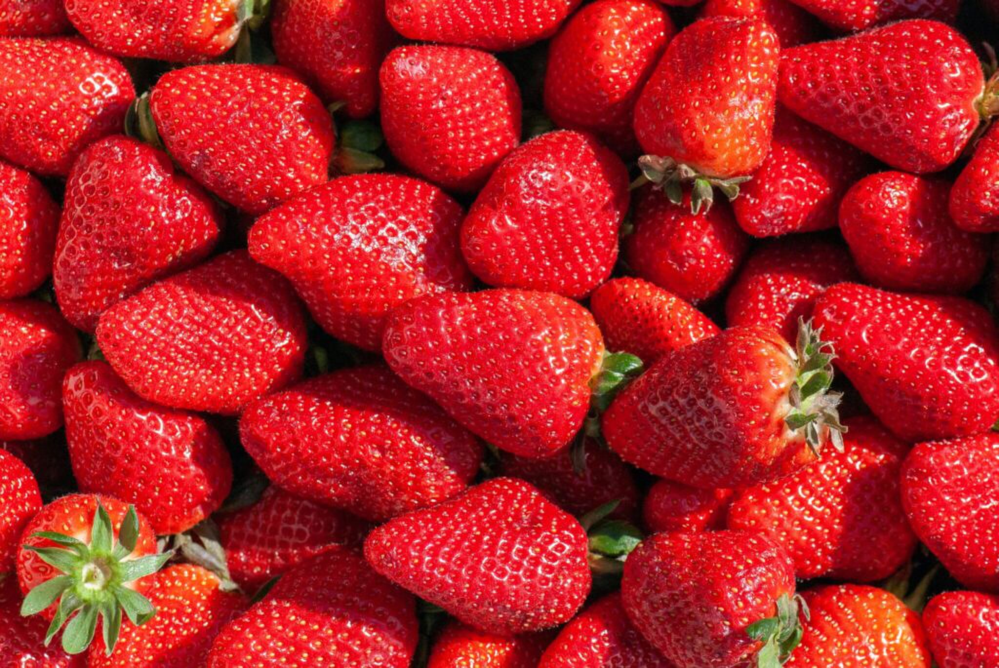 Allemaal aardbeien