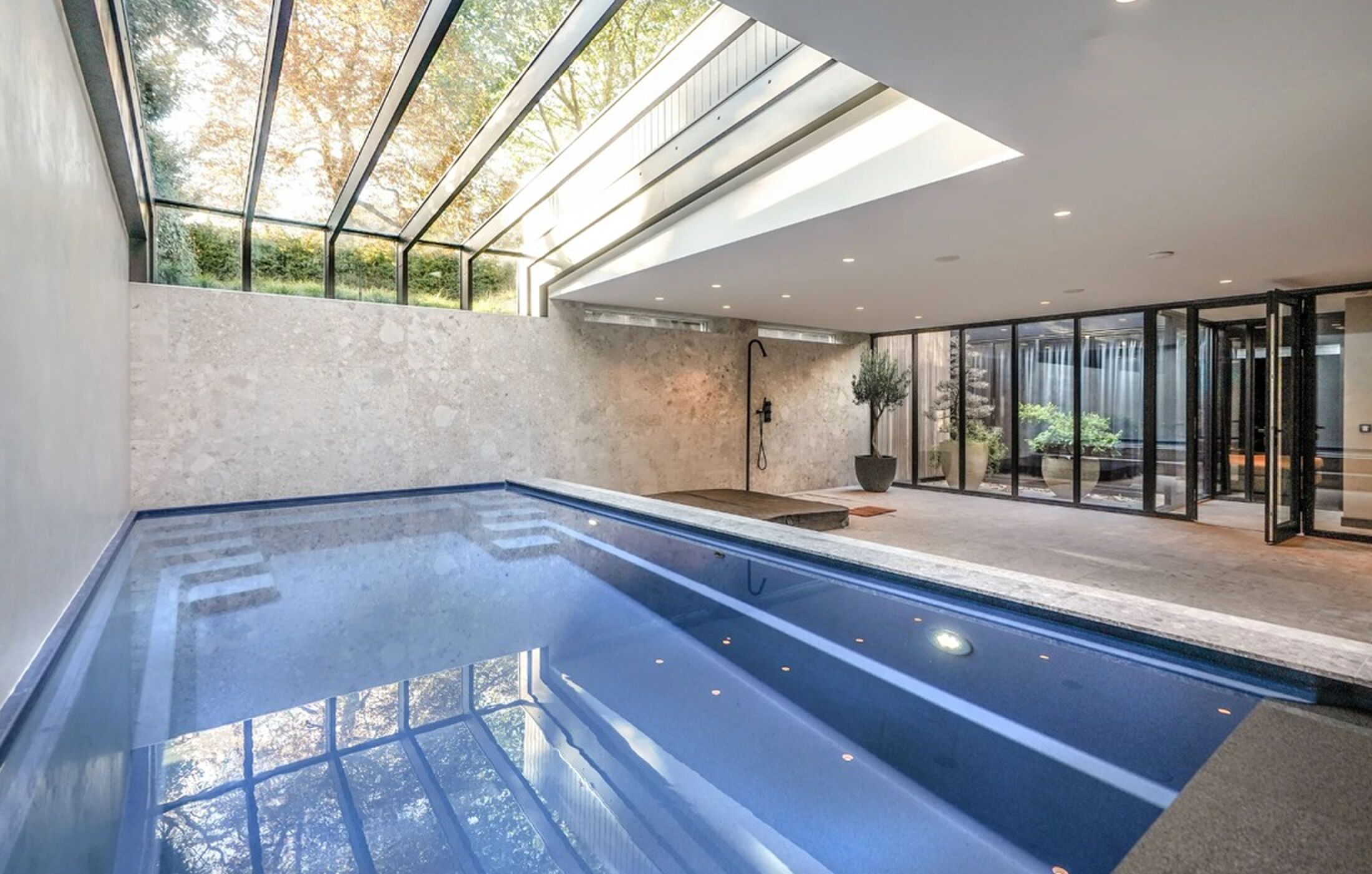 Het zwembad in de woning.