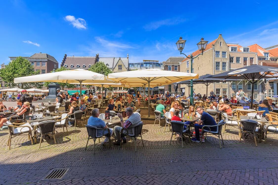 Vol terras