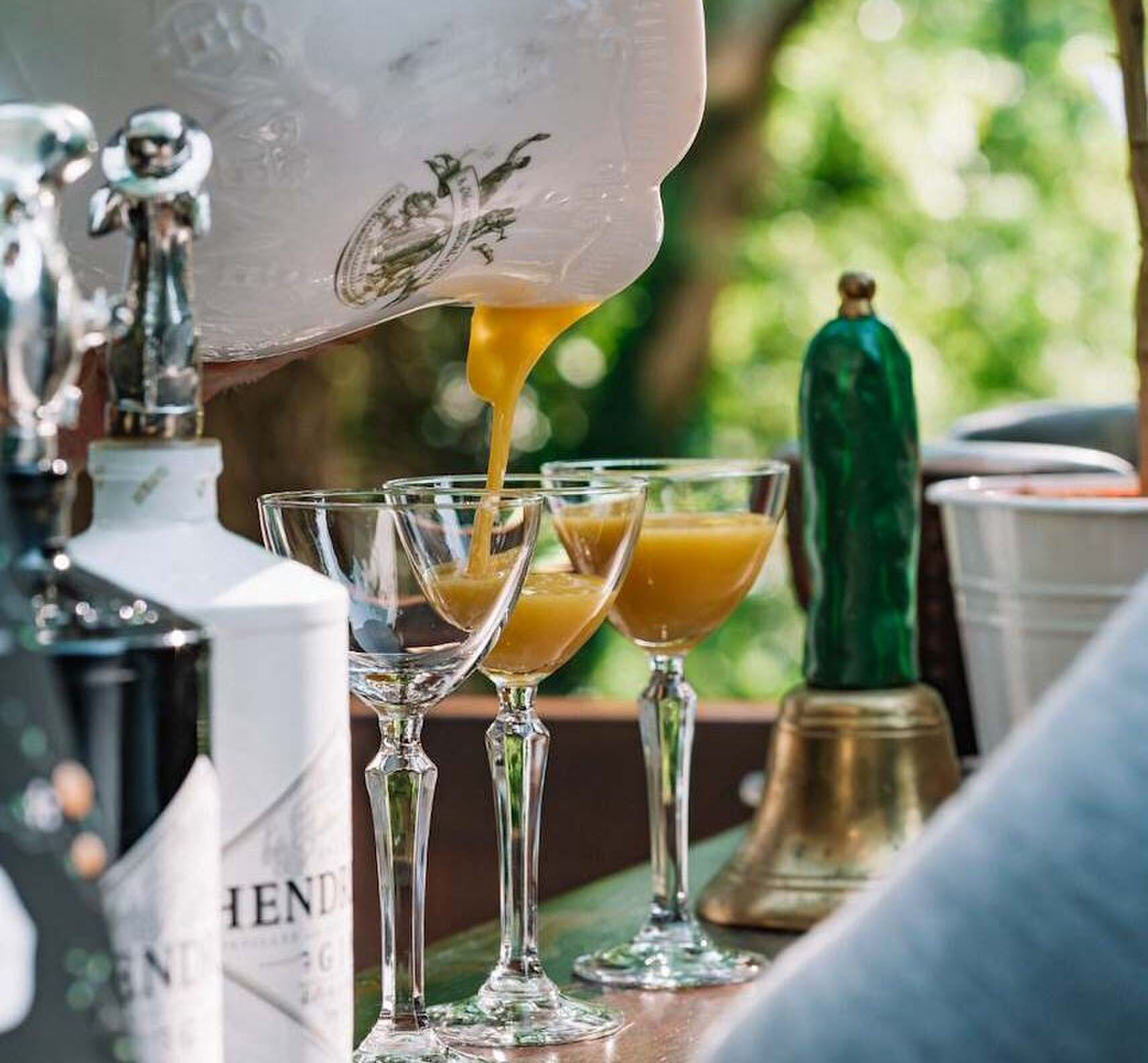 Another Hendrick's Gin