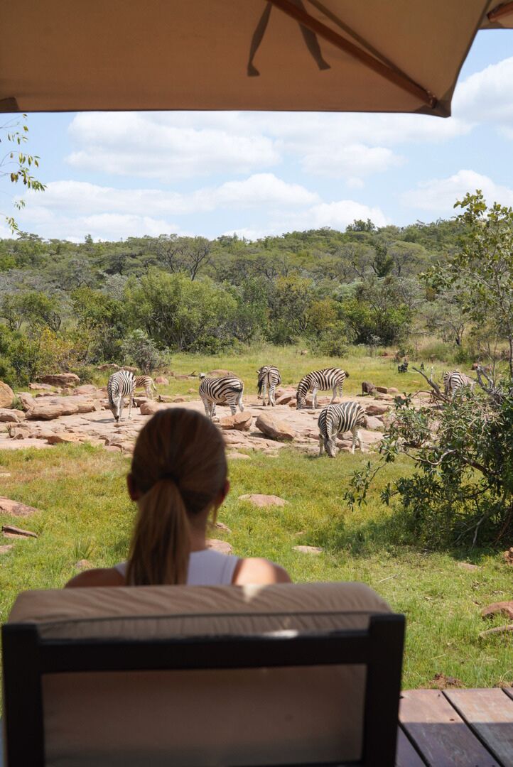 Een vrouw die op safari kijkt naar wilde dieren