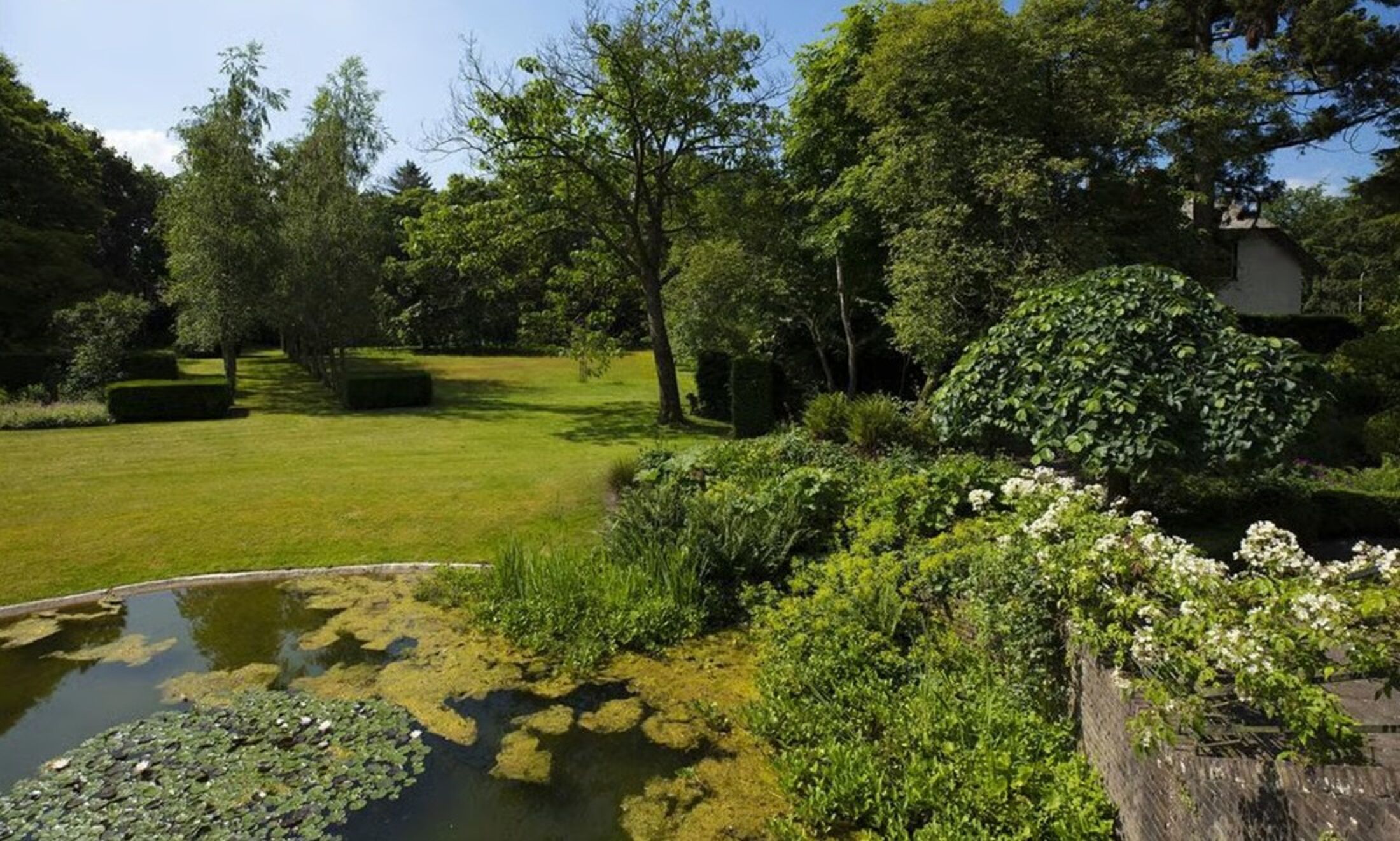 De tuin van de woning.