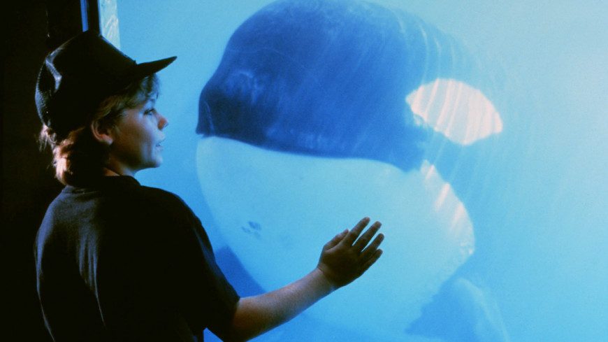 Beeld uit "Free Willy" (1993) met Jason James Richter