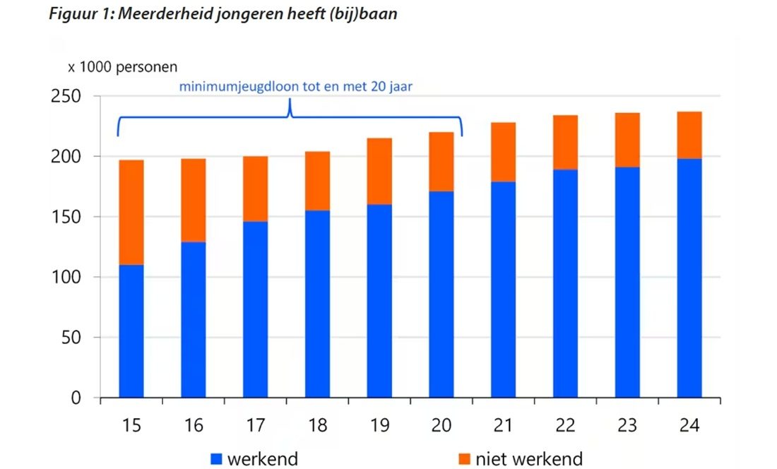 Een staafdiagram waaruit blijkt dat veel jongeren werken, sommigen voor een minimumsalaris.