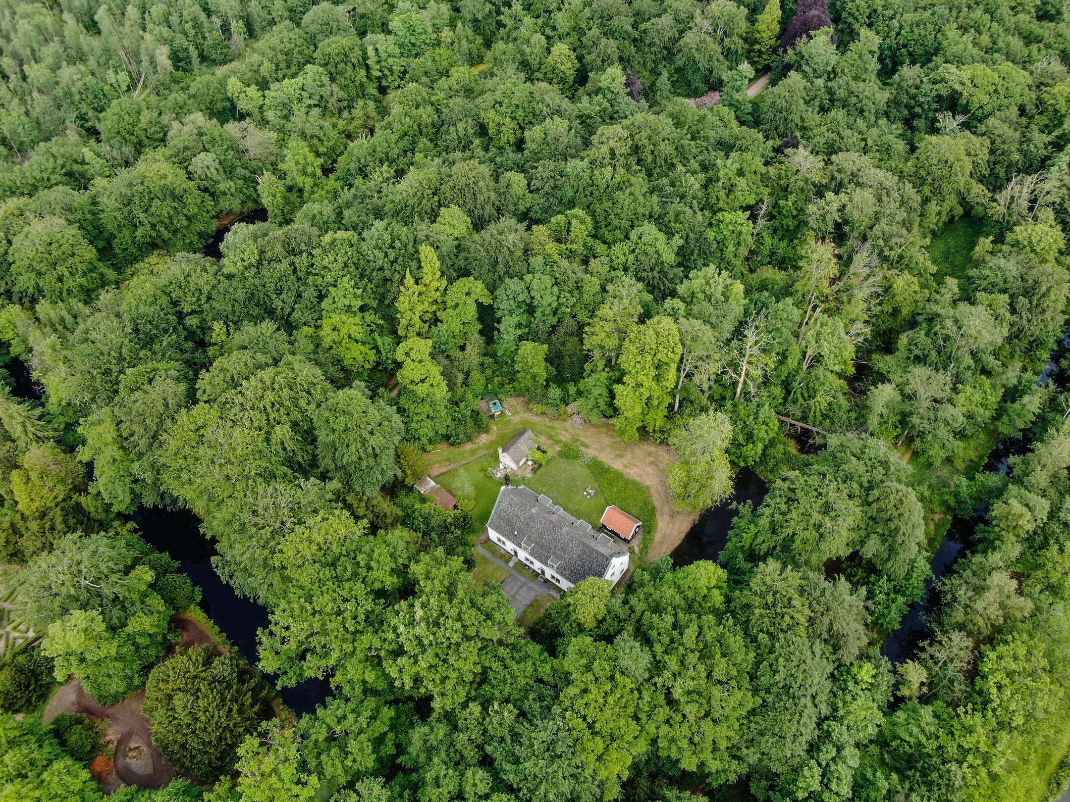 Een huis omringd door een bos