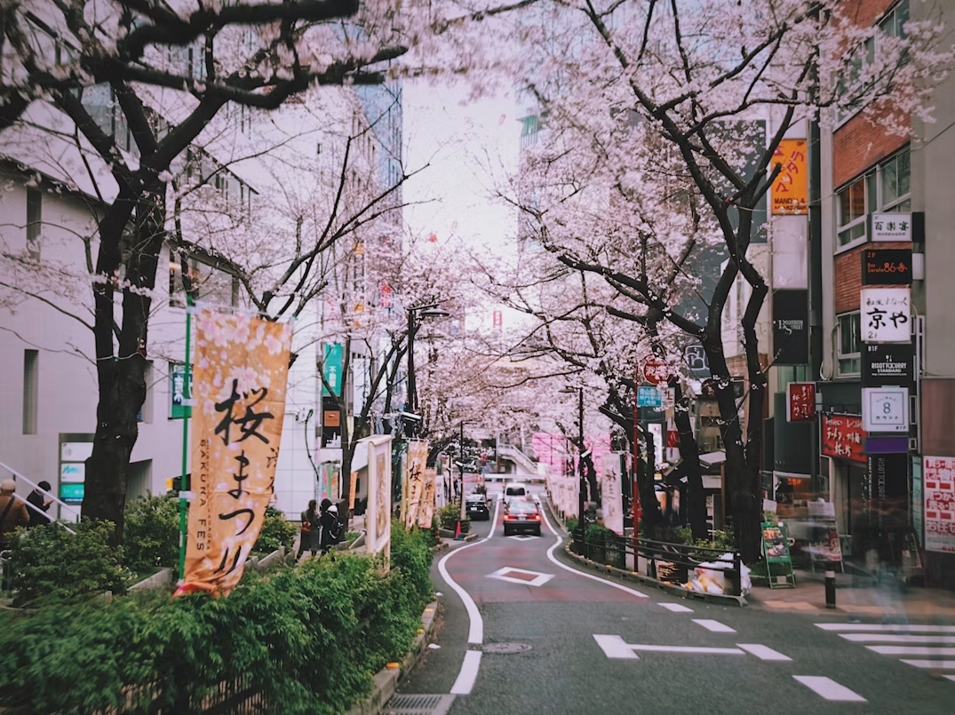 Mooi straatje in Tokio in Japan
