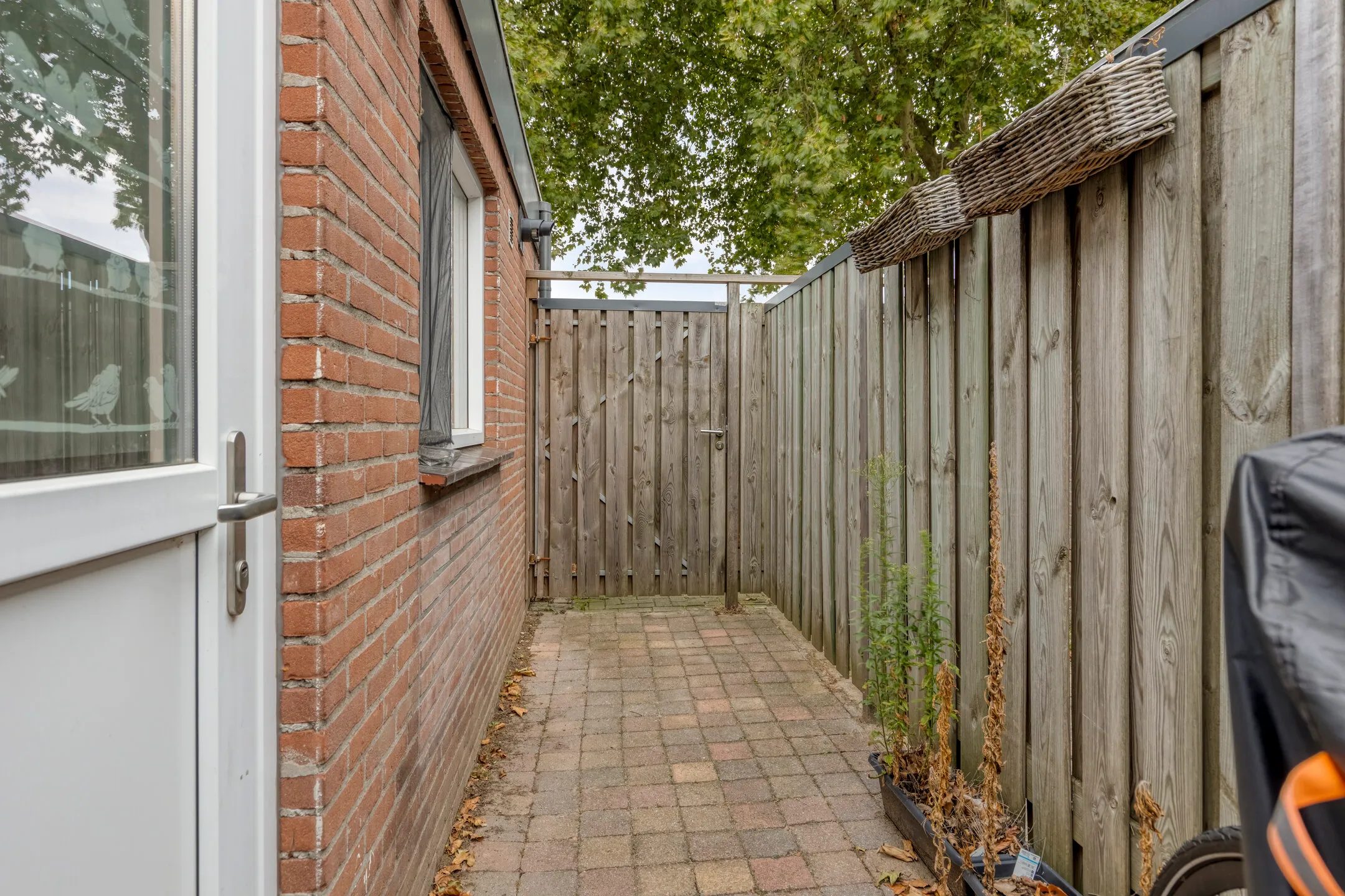 De tuin van de schuur met voordeur.