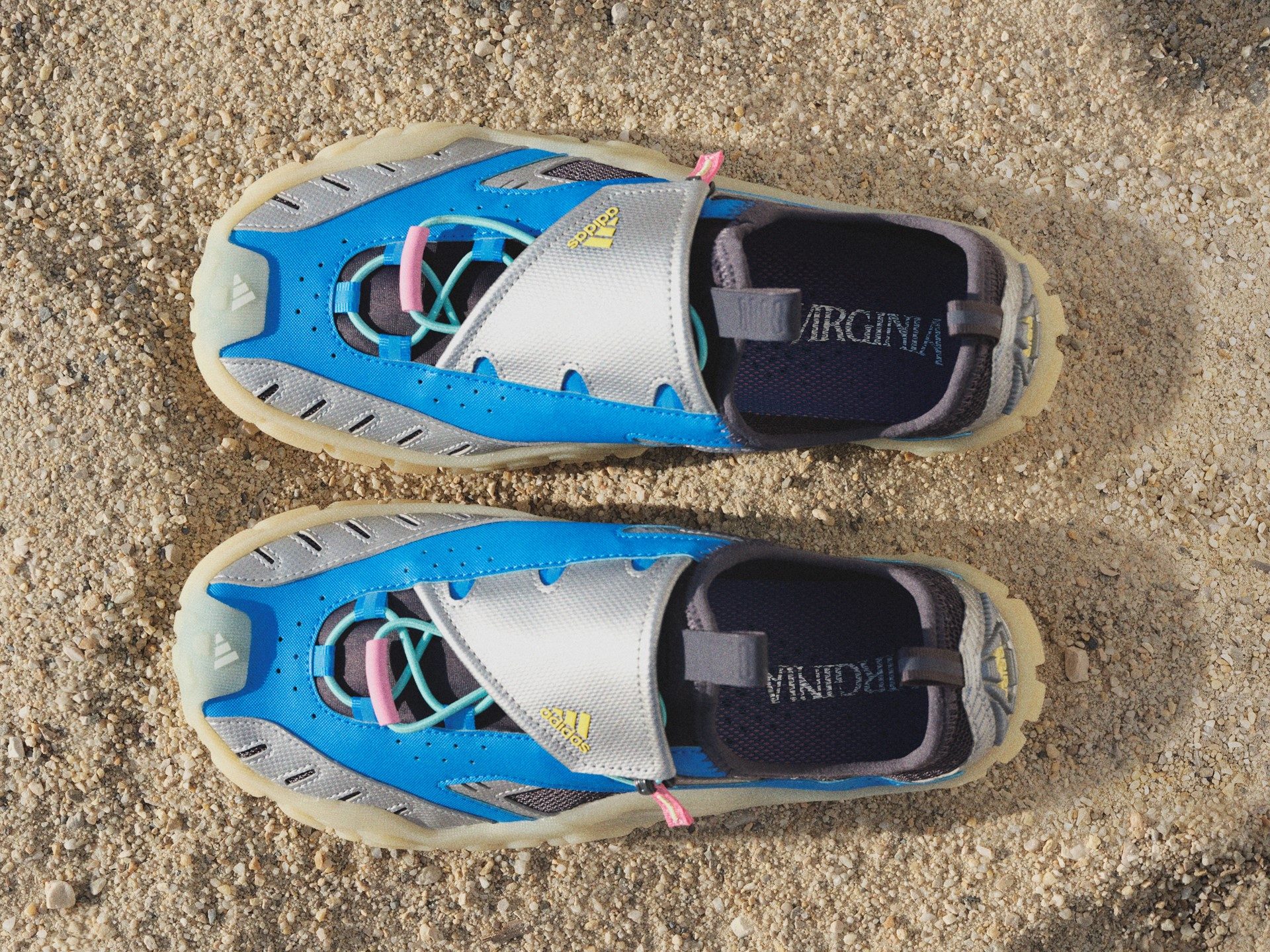 De blauwe Watermoc