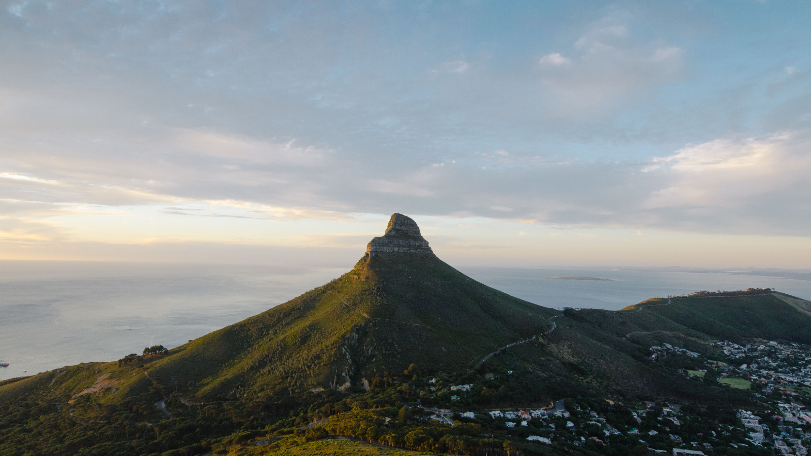Lion's head in Kaapstad