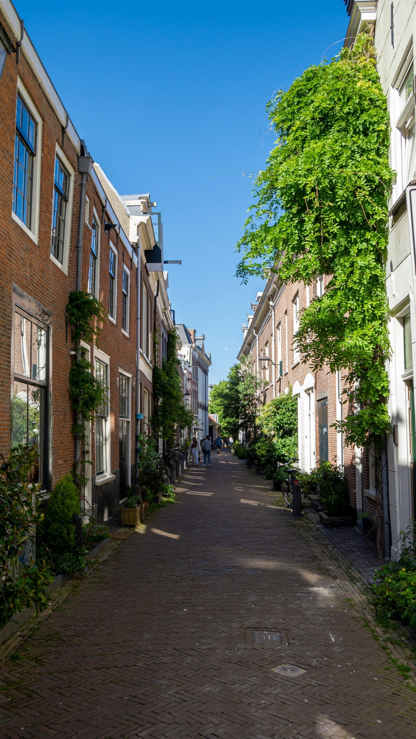 Een straat met woningen in Haarlem