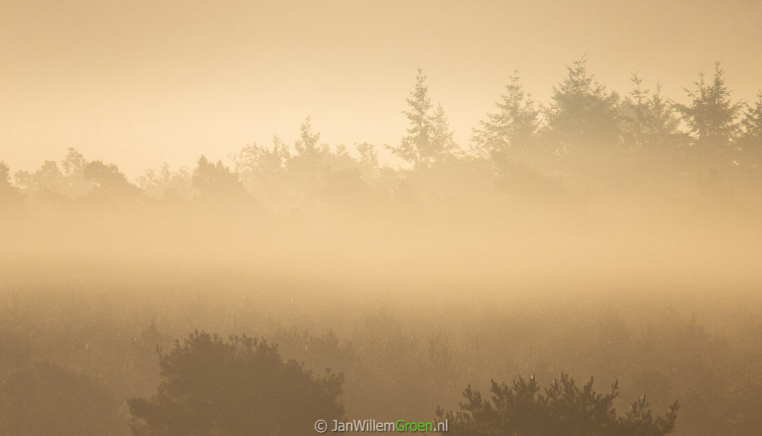 20150924 Veluwe wiel-0936