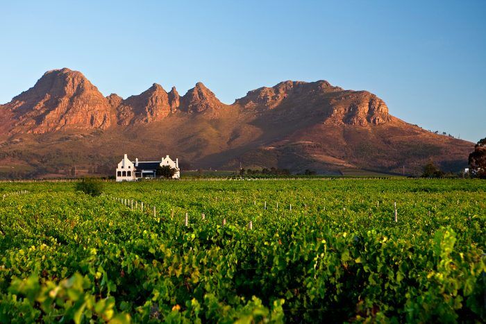 roadtrip-afrika-stellenbosch-manman