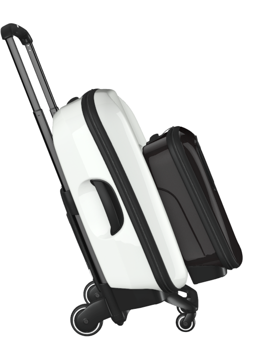 travel-case-cabin-case Bugaboo MAN MAN