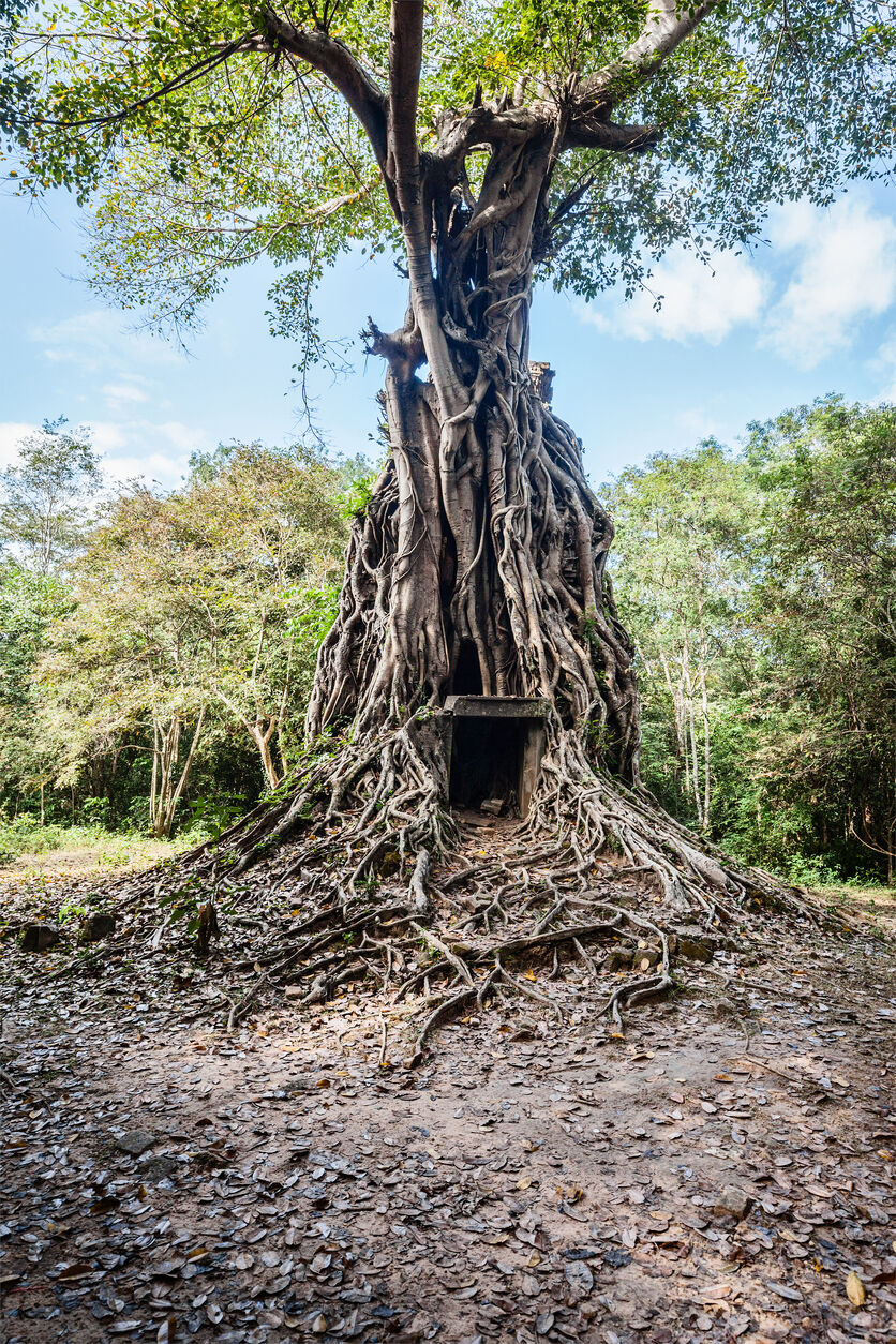 Sambor Prei Kuk temple ruins, Cambodia