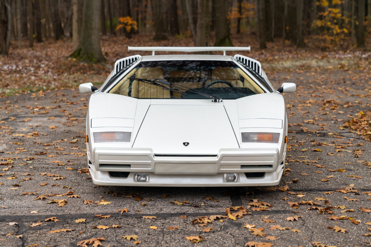 1990_lamborghini_countach_25th_anniv_edition-1