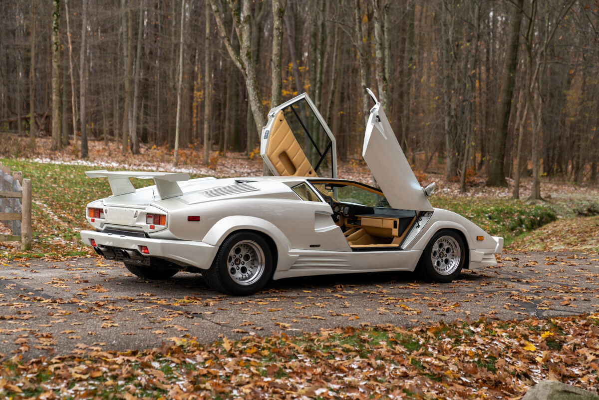 1990 Lamborghini Countach 25th Anniversary MAN MAN