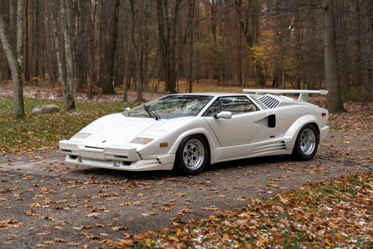 1990_lamborghini_countach_25th_anniv_edition-2