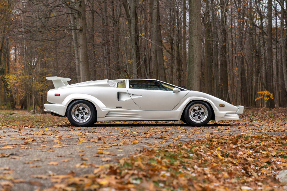 1990_lamborghini_countach_25th_anniv_edition-29