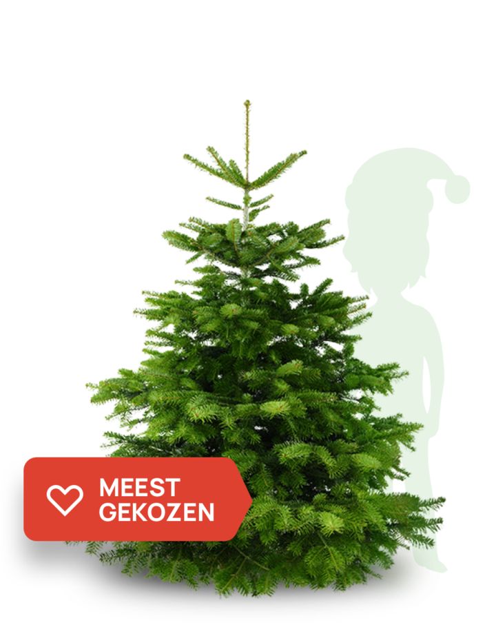 online kerstboom bestellen