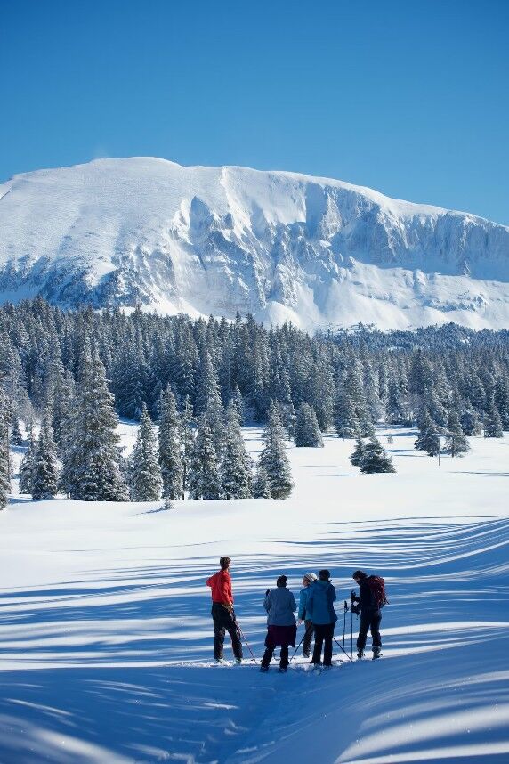 goedkope wintersport vakantie waar