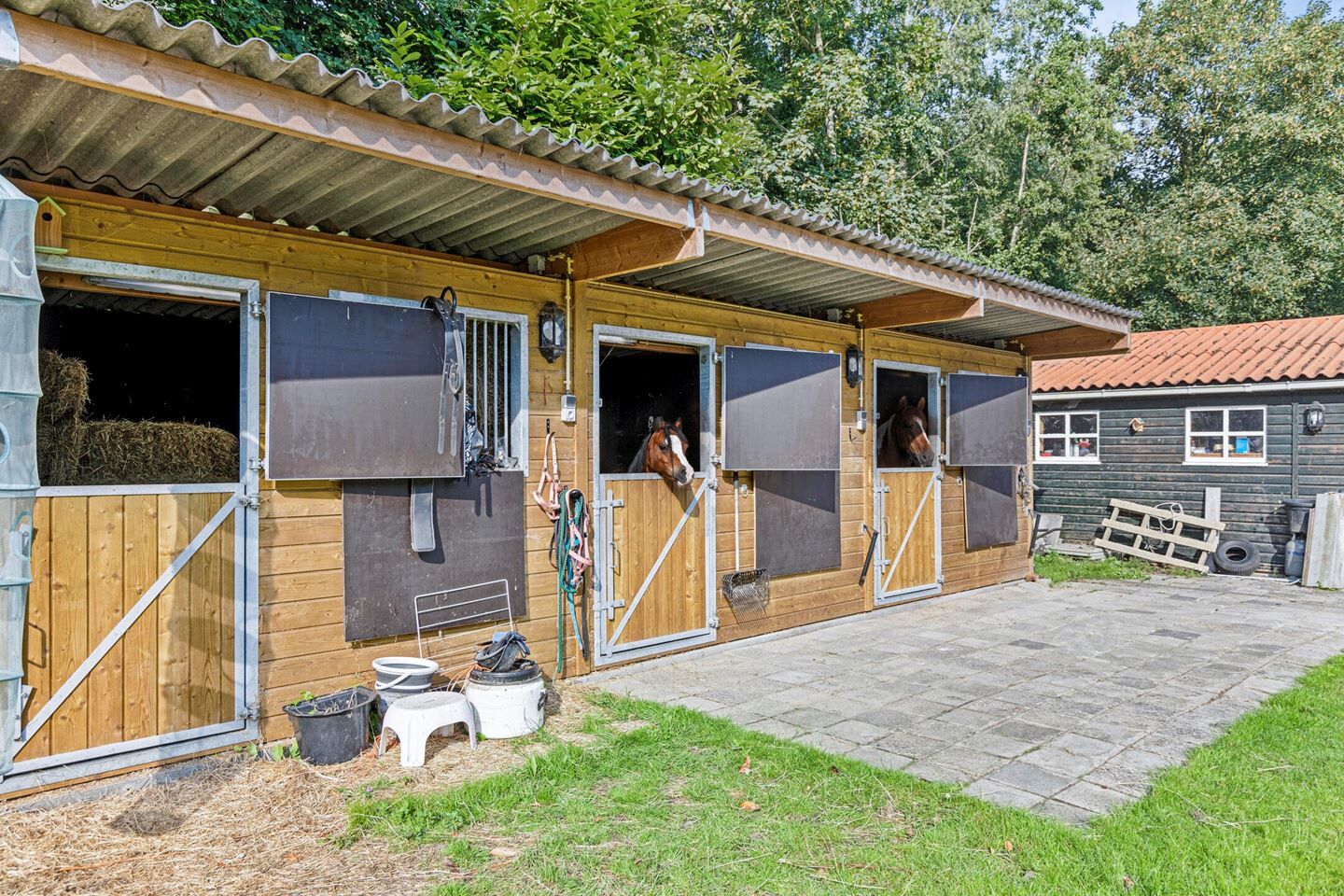 woning met paardenstallen te koop