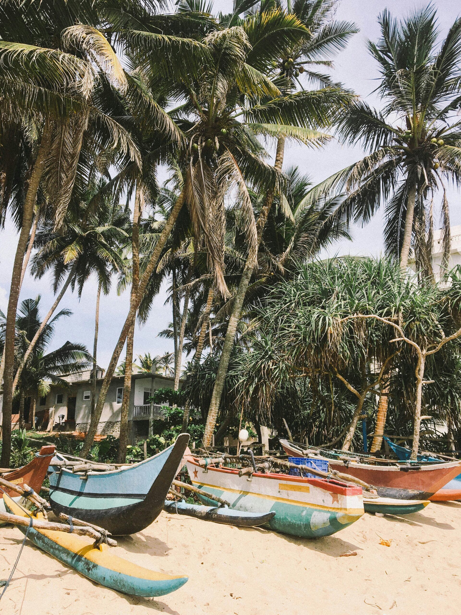 sri lanka, zon vakantiebestemmingen waar is het warm in januari