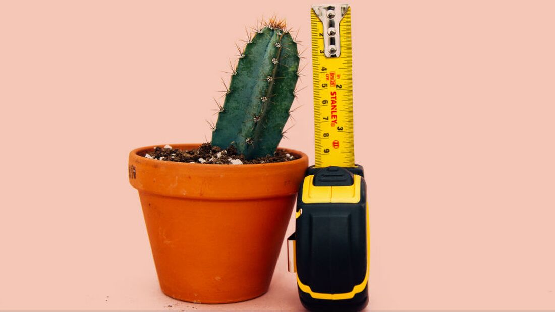 Onderzoek: Is er een verband tussen schoenmaat en penislengte?