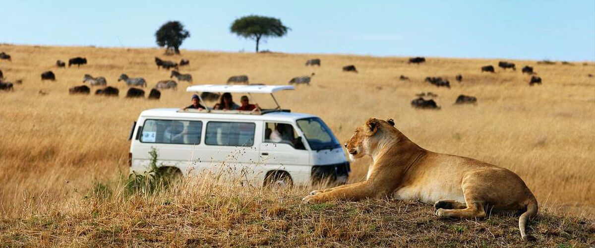 De mooiste roadtrips in Afrika