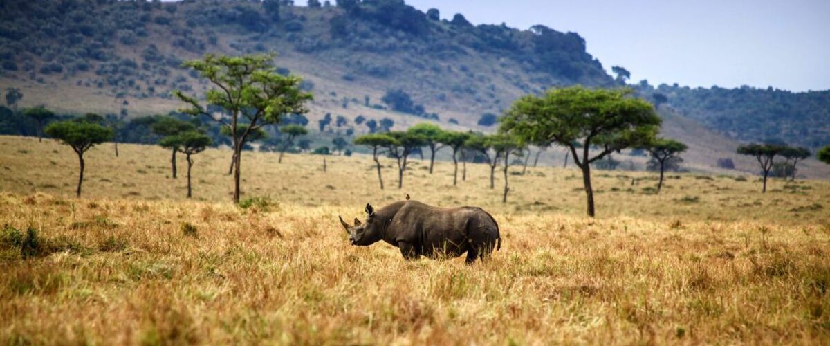 De mooiste onbekende nationale parken ter wereld