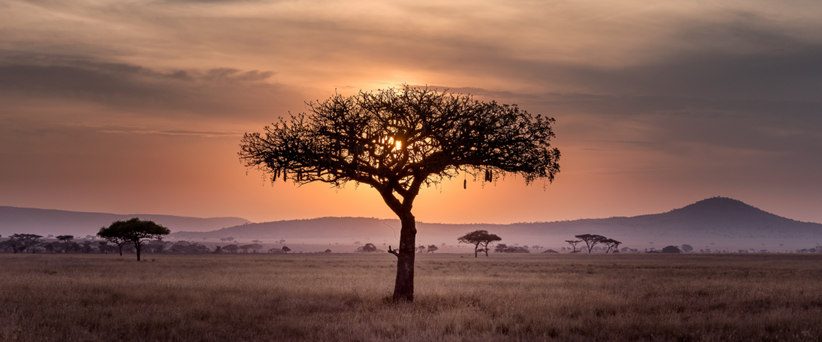 Dit is de ultieme reisroute door Zuid-Afrika