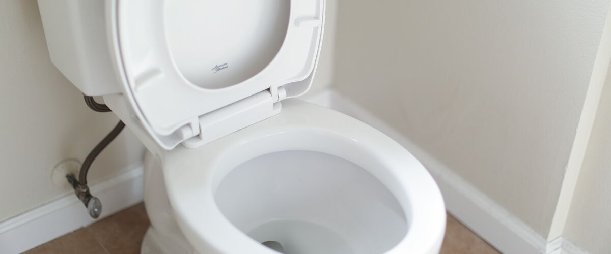 Bidet bedrijf zoekt testpersoon die drie maanden gaat poepen voor bijna €9.000