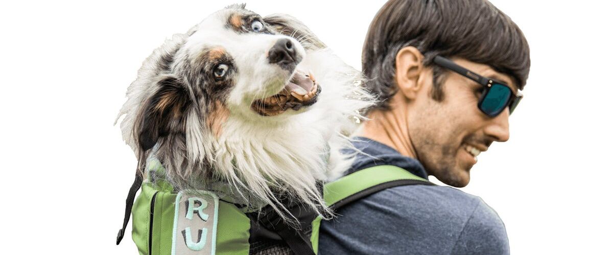 Met deze speciale rugzak neem jij jouw grote hond overal mee naartoe