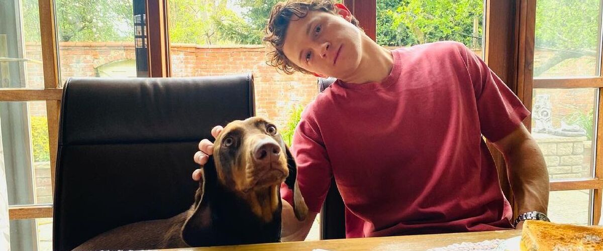 De indrukwekkende autocollectie van Tom Holland maakt iedere man jaloers