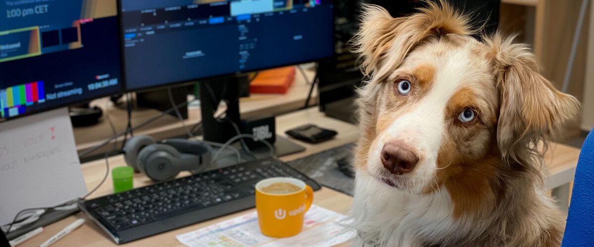 24 juni is het ‘neem je hond mee naar je werk’-dag