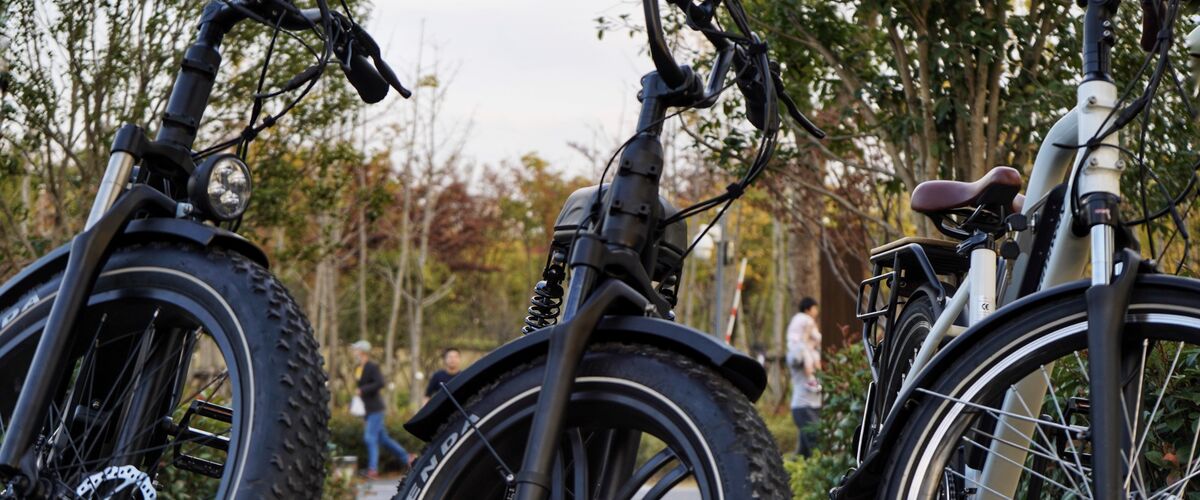 Onze nationale trots: 10 Nederlandse e-bike merken