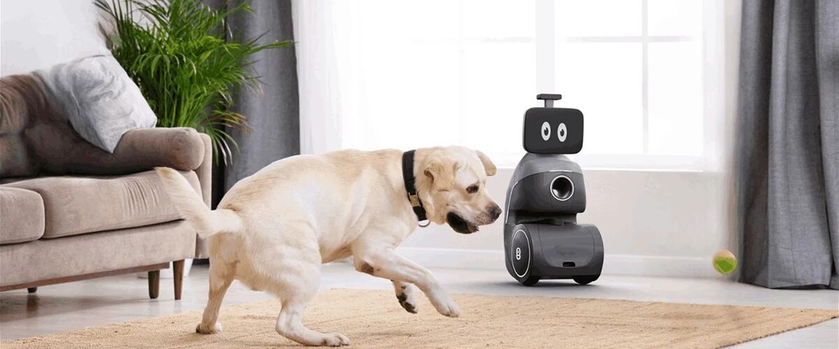 Deze honden-oppasrobot gooit ballen, geeft eten en heeft nog veel meer premiumfeatures