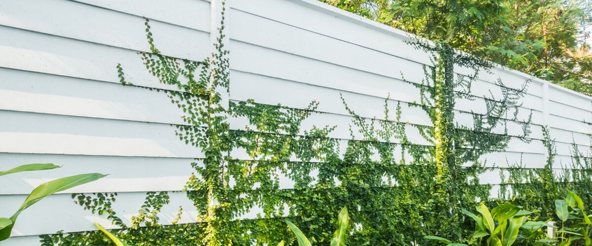 Voorzie je tuin van een composiet schutting