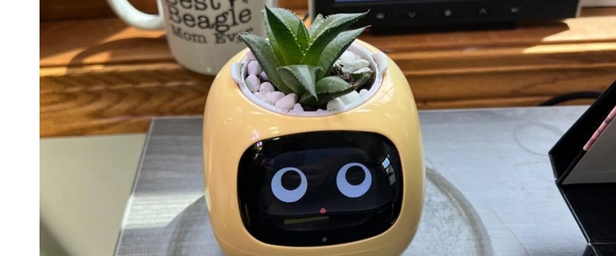 Geniaal apparaatje: met de Plantagotchi blijft jouw plant in leven