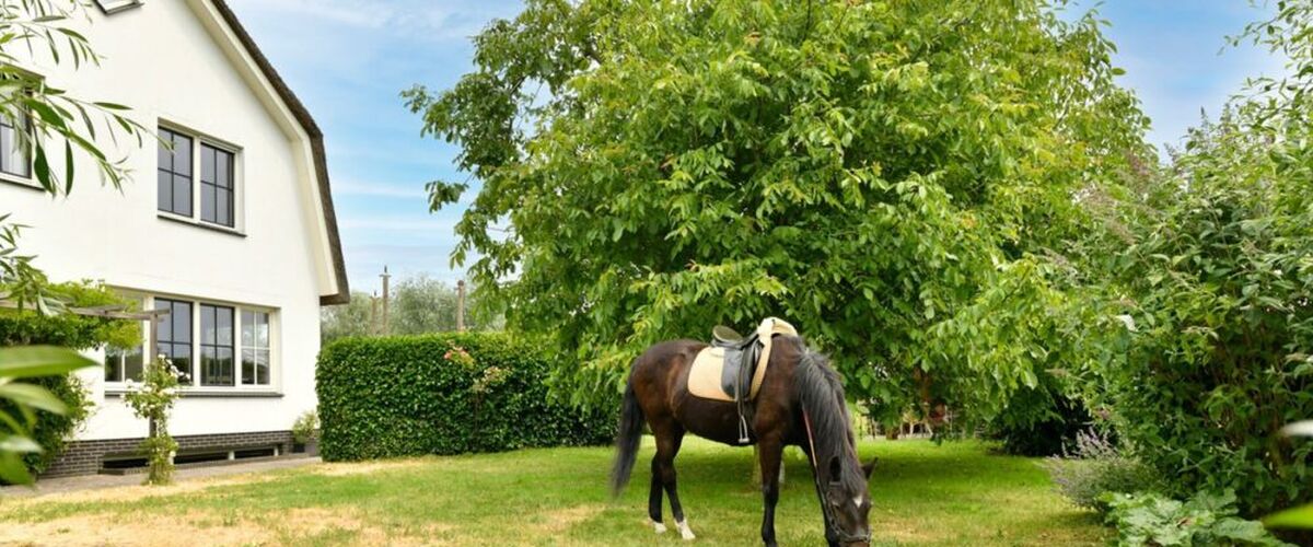 Geniaal: fotograaf van Funda-woning plaatst 60 foto’s, maar vergeet de woning in de advertentie