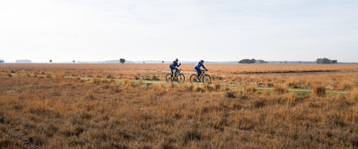 Dwingelderveld is verkozen tot de populairste fietsroute van Nederland