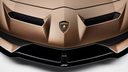 Lamborghini Aventador MAN MAN