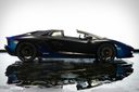Lamborghini japan Man Man