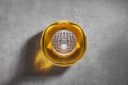 The Macallan in Lalique